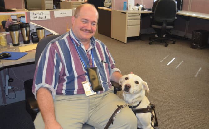 Guest Commentary: Fake Service Animals Are Not the Problem
