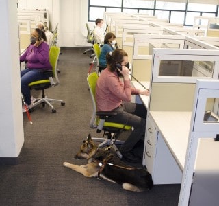 A group of 5 call center agents (all of whom are blind) schedule patient appointments thanks to fully accessible software by Epic.